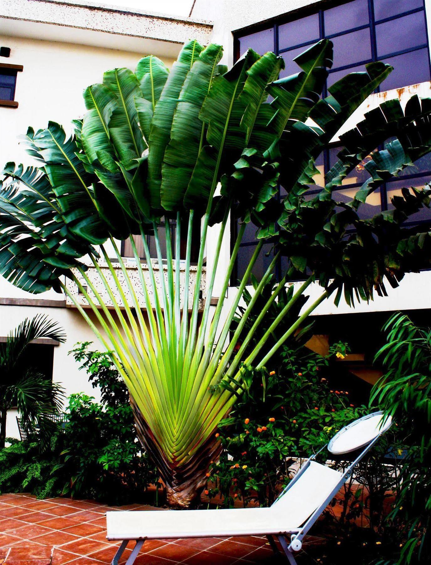 Three Arms Hotel Lagos Exteriör bild